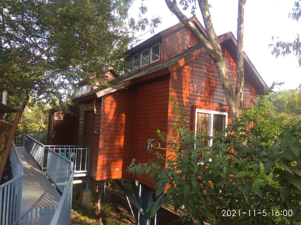 Wooden Tree House